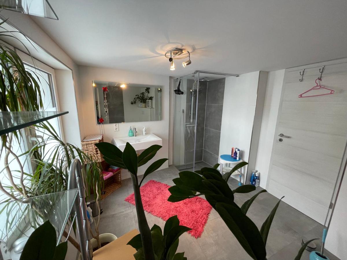 Willingenvakanties,Modern Quality Apartments Restyled Nov 2022 Willingen 2023 Εξωτερικό φωτογραφία